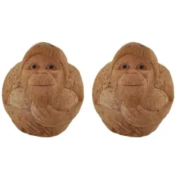Darimana Äffchen aus Kokonuss 2er-Set