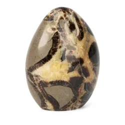 Freeform Septarie gelb