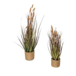 2er Set Lagurusgras rosa 44 und 60 cm