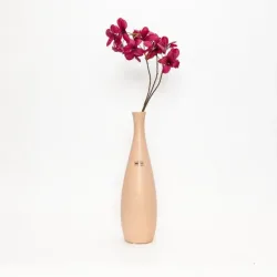Frangipanizweig mit Vase