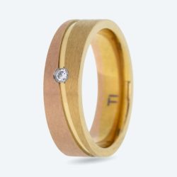 Titan Ring Zirkonia