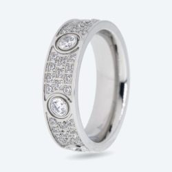 Edelstahl Ring Zirkonia
