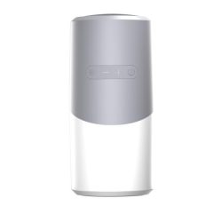 Outdoor Bluetooth Speaker incl. RGB Licht