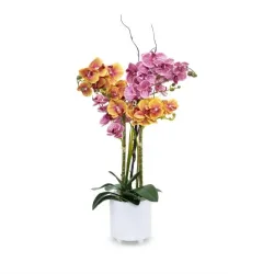 XXL-Orchideen Arrangement 68cm beleuchtet