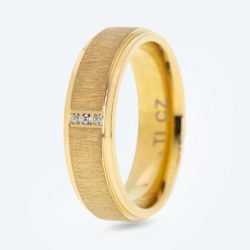 Ring Titan vergoldet Zirkonia