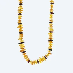 Collier Bernstein