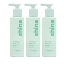 Hair Era Shine Argan Shampoo 3 x 350 ml