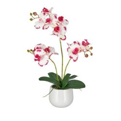 Orchidee Pink-Creme Real Touch