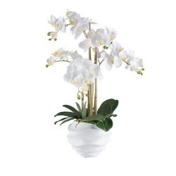 XXL-Orchidee weiß 70cm