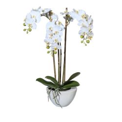 Orchidee Real Touch 51cm