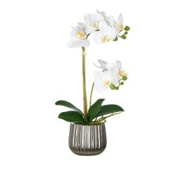 Orchidee weiß in Silbertopf