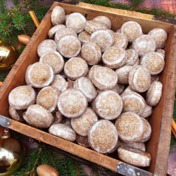 Slawische Lebkuchenhappen