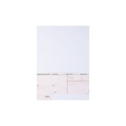 Simplex Überweisungsscheine ESR DIN A4 100 Blatt