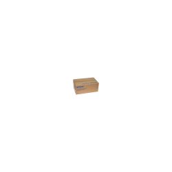 Epson 1099 Original Trommel C13S051099 Schwarz