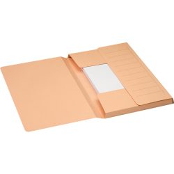 Djois Secolor 3 Flap Dokumentenmappe A4 Beige Pappkarton 270 g/m²