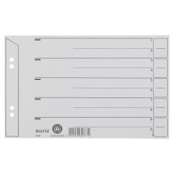 Leitz 1 bis 10 Register DIN A5 quer Grau 1-teilig Pappkarton 4 Löcher 1656 100 Stück
