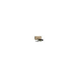 XEROX Fuser-Kit 220V 108R00718 Phaser 4510 200'000 Seiten