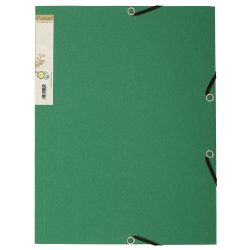 Exacompta - Sammelmappen mit Gummizug und 3 Klappen Forever, 24x32cm für DIN A4, aus Recycling-Karton zweifarbig - x 25, A4, Dunkelgrün