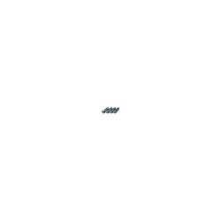 Epson 1204 Original Trommel C13S051204 Schwarz