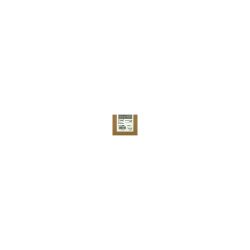 Epson T5967 Original Tintenpatrone C13T596700 Hell Schwarz