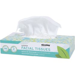 Niceday Professional Kosmetiktücher Standard 2-lagig 100 Blatt