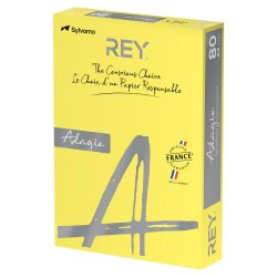 Rey Tinted paper DIN A4 Farbiges Papier Gelb 120 g/m² 250 Blatt