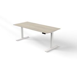 Move 3 - Steh-/Sitztisch 180x80x72-120 cm Ahorn