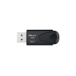 PNY USB Stick 776731 256 GB Schwarz