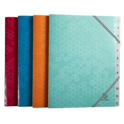 Exacompta Sammelmappe Spezial 1 bis 12 PP (Polypropylen) 12-teilig Farbig Sortiert 58310E 25 (B) x 32 (H) cm 8 Stück