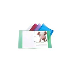 Rapesco Ringbuch 2 Ringe 25 mm Polypropylen DIN A4 Farbig sortiert 10 Stück