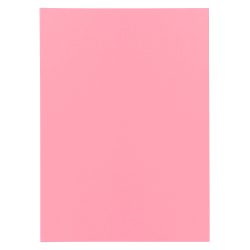 Exacompta Super Ordnungsmappe DIN A4 Rosa Pappkarton 60 g/m² 250 Stück