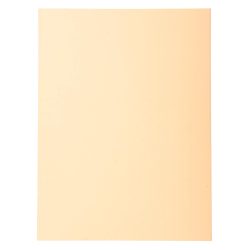 Exacompta Forever Ordnungsmappe DIN A4 Cremefarben Manila Recycelt 100% 170 g/m² 100 Stück