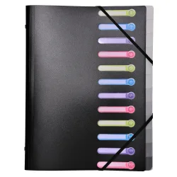 Exacompta Ordnungsmappe 55981E DIN A4 Schwarz Polypropylen mit 12 Fächern 25 x 32 cm