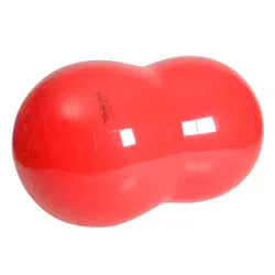 Gymnic Fitnessball 