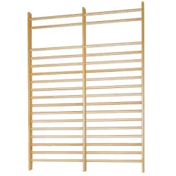 Sport-Thieme Sprossenwand 