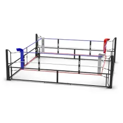Sport-Thieme Boxring 