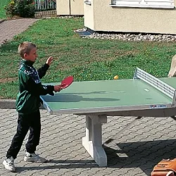Sport-Thieme Tischtennis-Plattenhälfte 