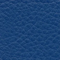 Sport-Thieme Lagerungs-Halbrolle, Blau, 40x12x6 cm