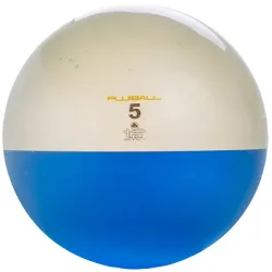 Trial Gewichtsball 