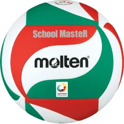 Molten Volleyball 