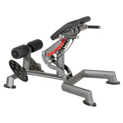 Sport-Thieme Rückenstrecker 