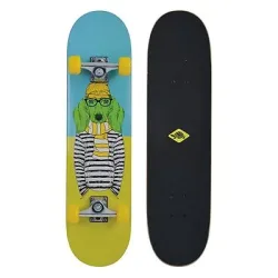 Schildkröt Skateboard 