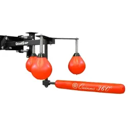 Quinns Boxtrainer 