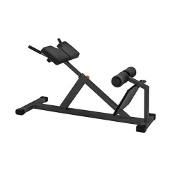 Sport-Thieme Rückenstrecker 