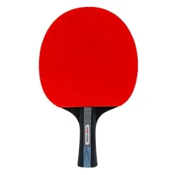 Sport-Thieme Tischtennisschläger 