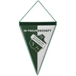 Wimpel 3-eckig, 29x20 cm mit Kordelumrandung