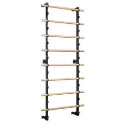 Sport-Thieme Sprossenwand 