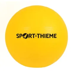 Sport-Thieme Volleyball 
