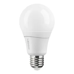 Ledon LED Lampe: Birne, A66