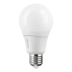 Ledon LED Lampe: Birne, A66